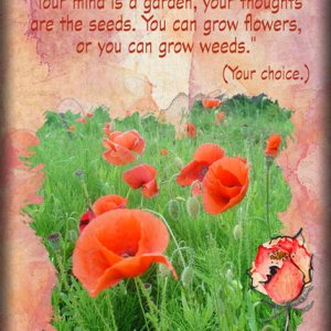 ATC 2019-021 Your Mind is a Garden