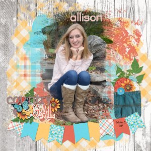 2017_oct_15_allison_1_mcreation_countryside