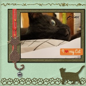 I love my Cat