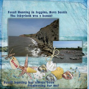Fossil Hunting
