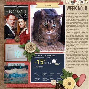 2019 Day2Day Week 5