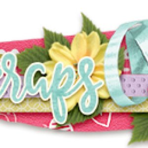 Feb 2019 Sign Challenge