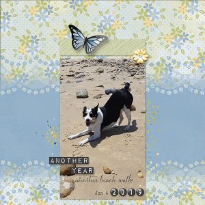 At the Beach