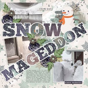 Snowmageddon