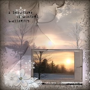 Winter's Butterfly