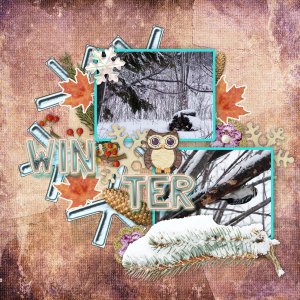 Wild In Winter