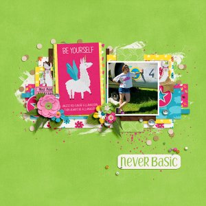 February-19 Scraplift challenge
