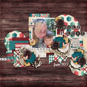 Family Is Love - June 2017
