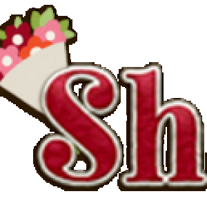 02-19-SiggieChallenge