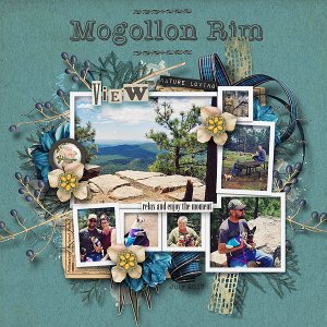 Mogollon Rim
