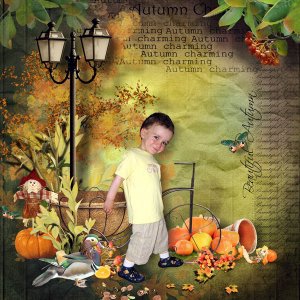 Autumn path
