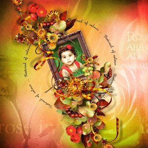 Festival of colour