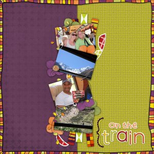 On the Train - Machu Picchu