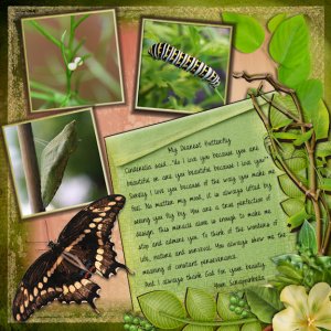 Metamorphosis