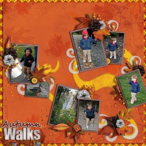 Autumn Walks
