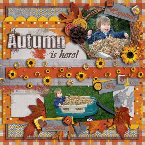 Autumn is here