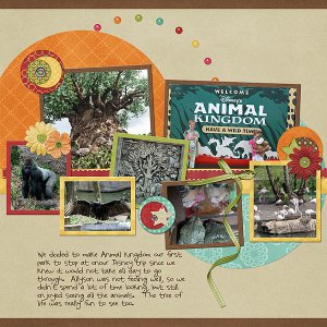 animal kingdom