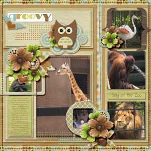 Our Groovy Day at the Zoo