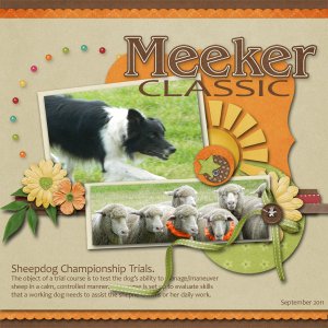 Meeker Classic