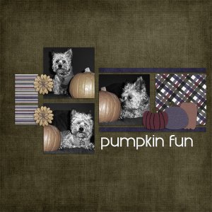 Pumpkin Fun