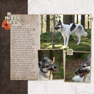 Inez - a beloved dog