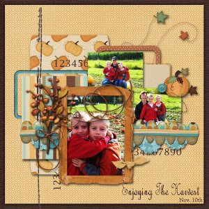 Pumpkin Patch 2010