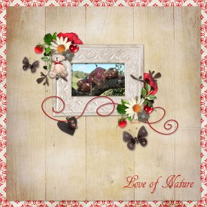 Love of Nature