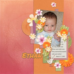sd-mini-challenge-ethan-2007