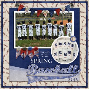Lutz Spring PeeWee Baseball 2019