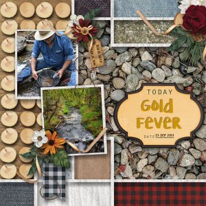 Gold Fever