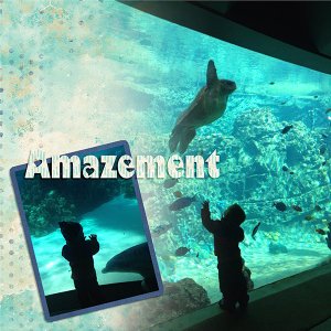Amazement