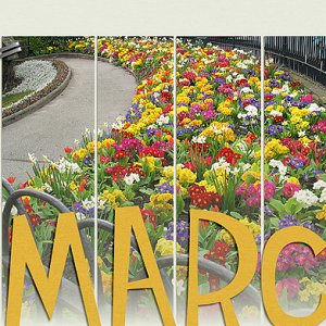 March Desktop