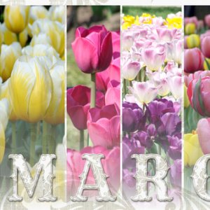 February 2019 Desktop Challenge