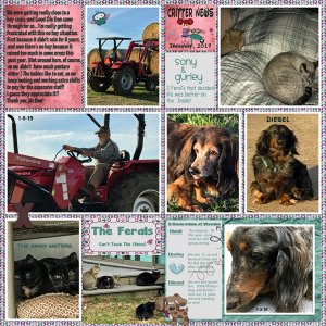 GSDesignerSpotlight-Jan2019Critters