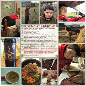 GSPocketCh219-EverydayLifJan2019
