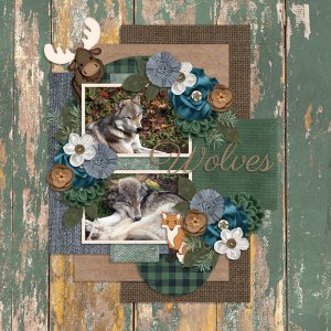 Week One - Wolves