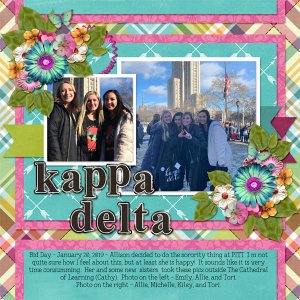 2019_jan_20_allie_bid_day_cap_good_vibes_only