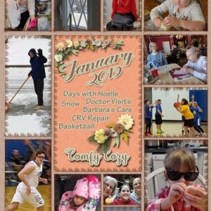Pocket Scrap Challenge Feb 2019