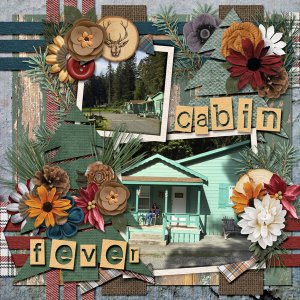 survivor - Cabin Fever - wk.1