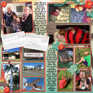 2017 HI Bill's House