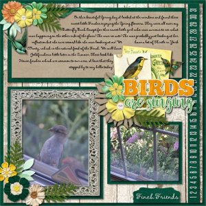 Birds are Singing