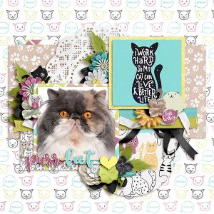purrfect2