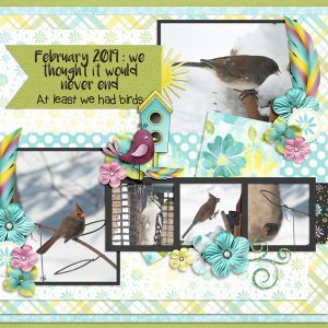 February birds