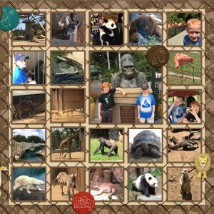 2017 CA SD Zoo