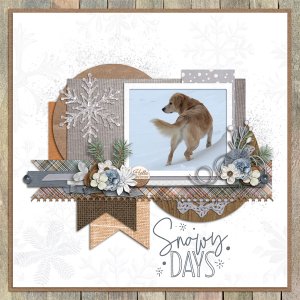 Snowy Days - Survivor Week 1