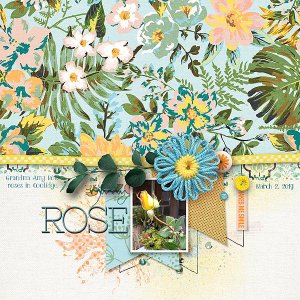 Yellow Rose