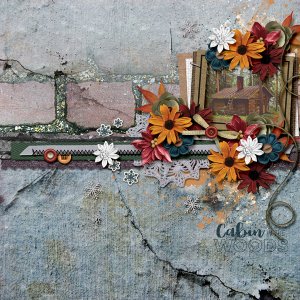 The Cabin