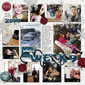 Project Life Week 9 2019