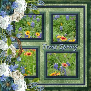 Texas Spring