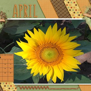 April Desktop Challenge